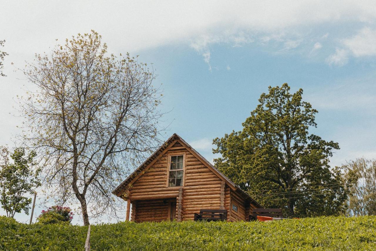 Jaunlidumnieki Villa Mālpils Exteriör bild